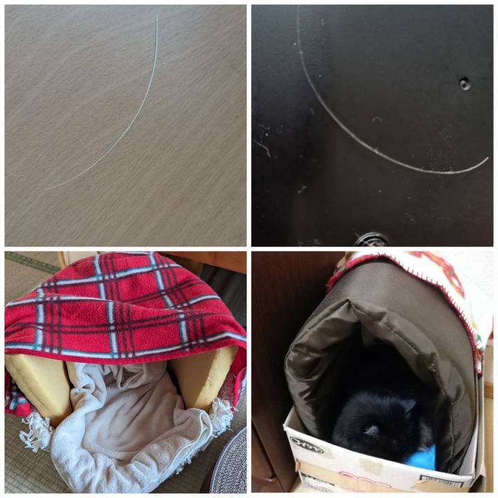 2ffbb39f dc9b 4392 9c19 cdc3a6026582 1698118352800