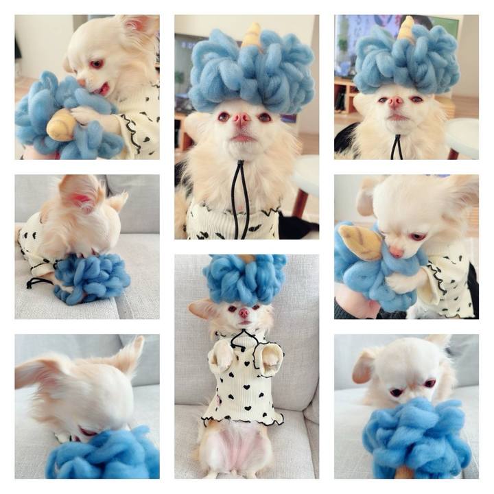 2ffbbc66 3021 4b17 a705 75154dd1a1a3 1705407419010