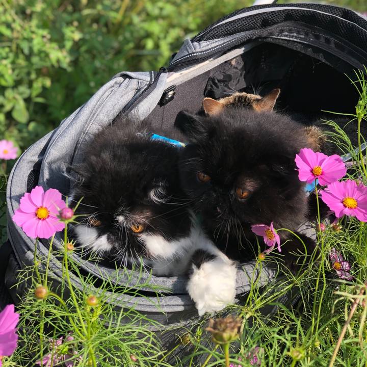 2ffbbff0 68be 401a 8591 acacc6f6ab75 1633761672765