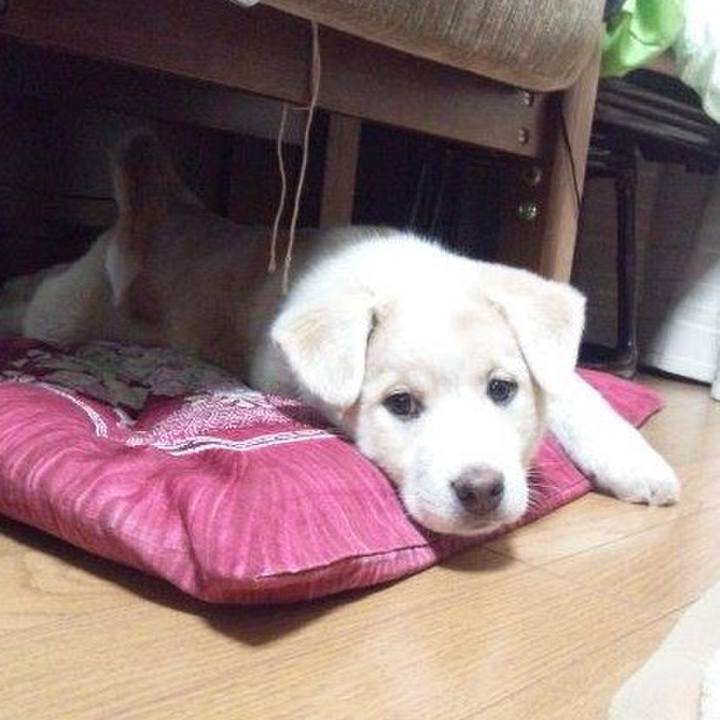 2ffbe014 ee31 4d54 a60b 456ba5232558 1522294203001