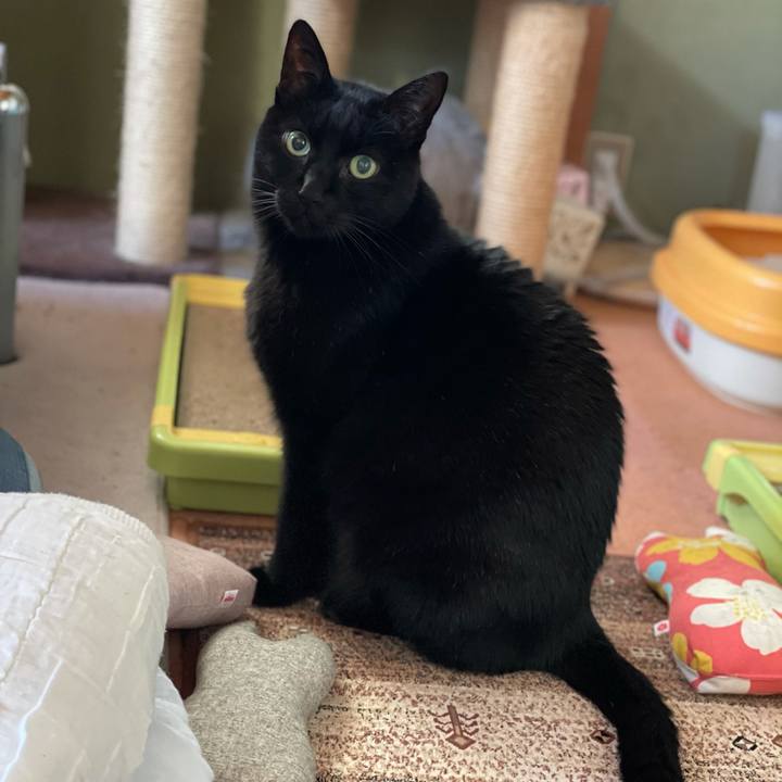 2ffc03a7 47a9 4733 ae51 117410494ca3 1609897557217