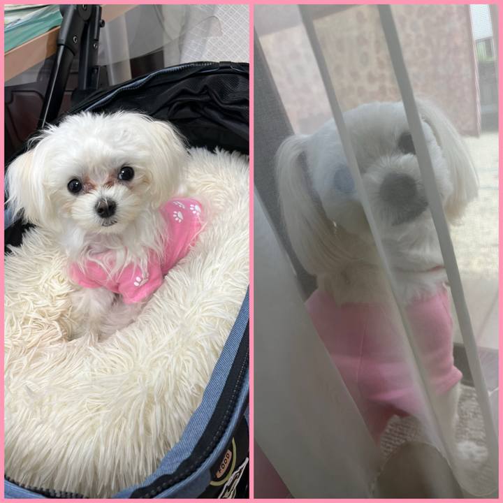 2ffc15ba a172 449d 8fb8 912e8702e6e1 1712991210319