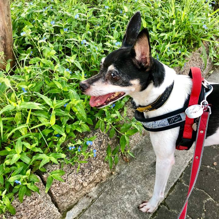 2ffc2274 90fa 4d40 a347 1a87541f0ff1 1568239452222