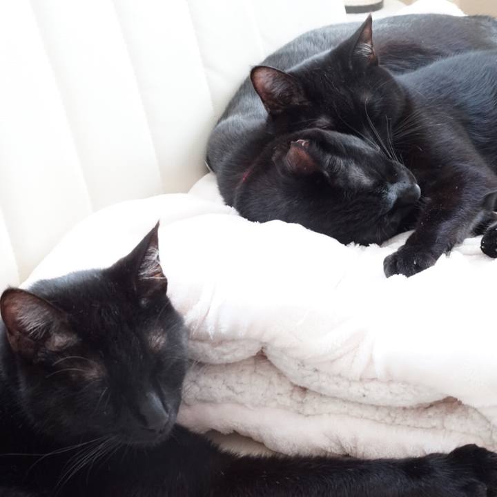 2ffc2baa 2c74 41eb 9849 622bbe22c205 1520735199189