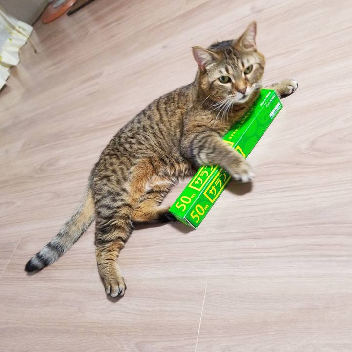 2ffc6088 4f0c 499f 8dbc 76d9888593c0 1584966958015