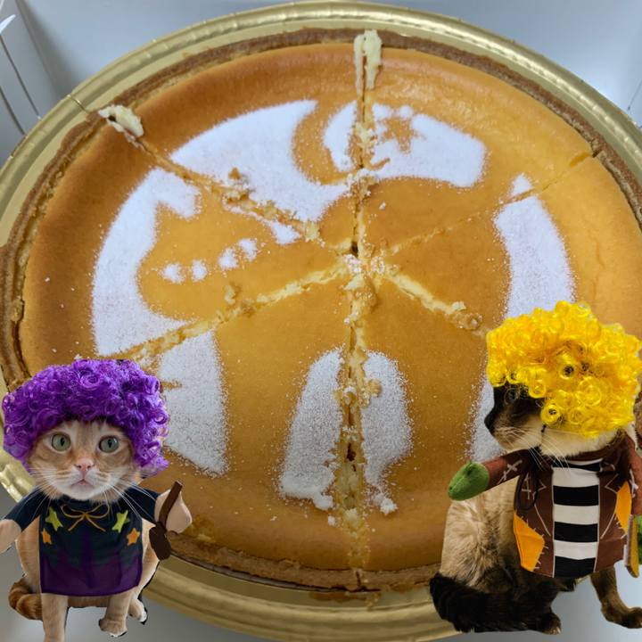 2ffc8d93 f3af 46bd beee 77c7f74ecd56 1603968262751