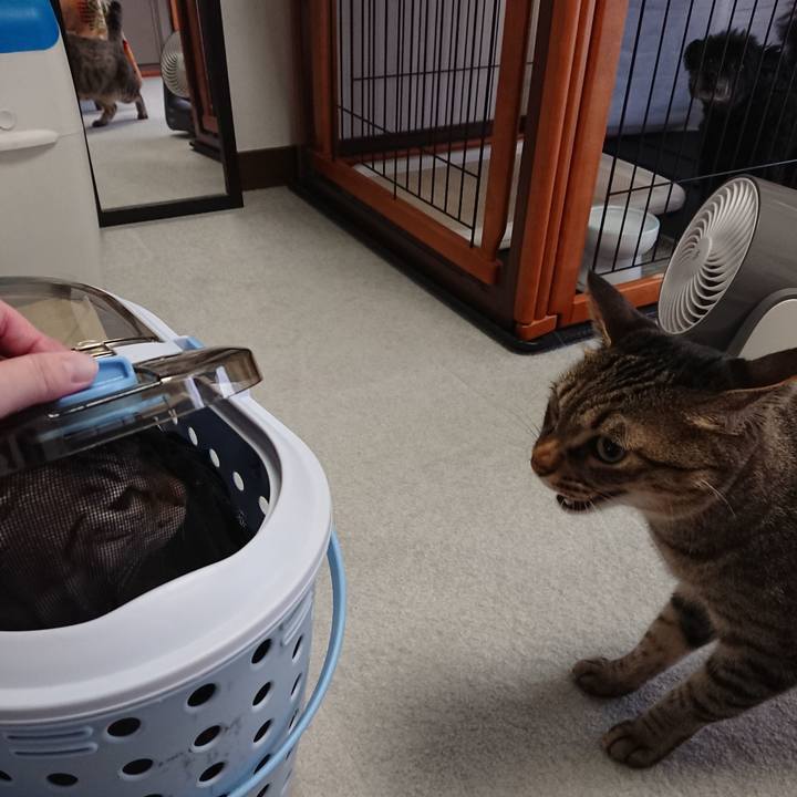 2ffca03e f974 43c5 9e7b b032b104faed 1594432366324