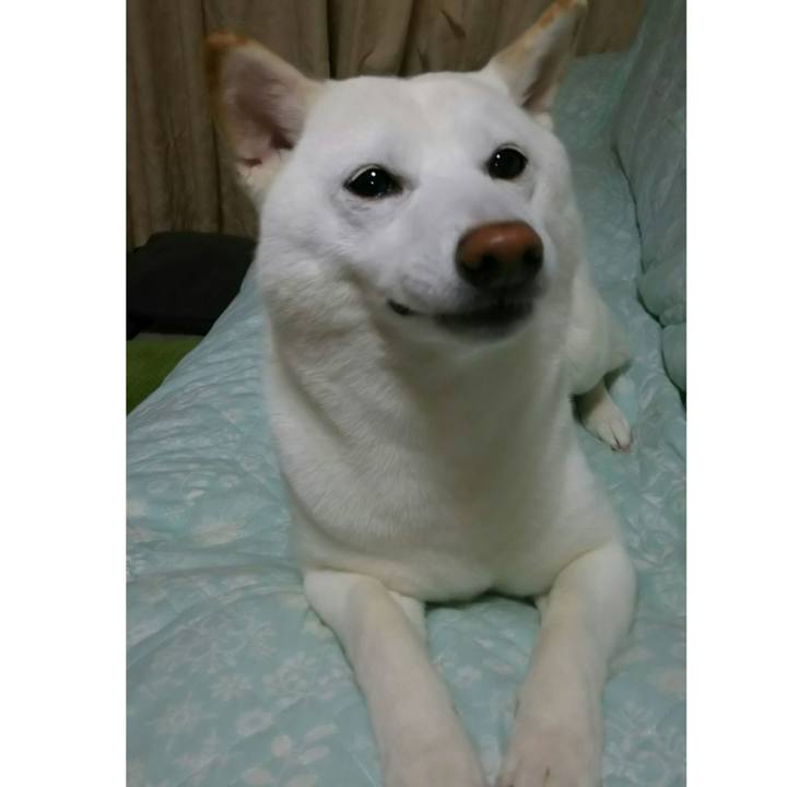 2ffcfd1d b339 4f05 bfbb 2735f183cf61 1527335716101