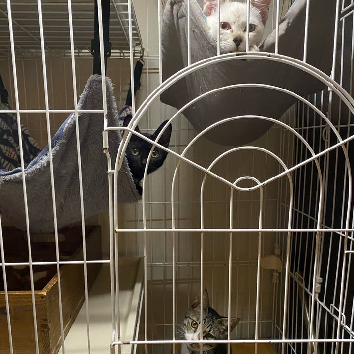 2ffd1286 ed2f 4869 b643 4aea4acc5fd6 1629712829728