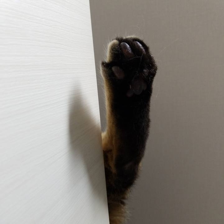 2ffd1d81 df8e 49a9 b498 768b550abe66 1588156770058