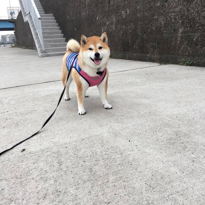 2ffd1ddb 6686 438b bc47 d242dc0f882d 1568337800055