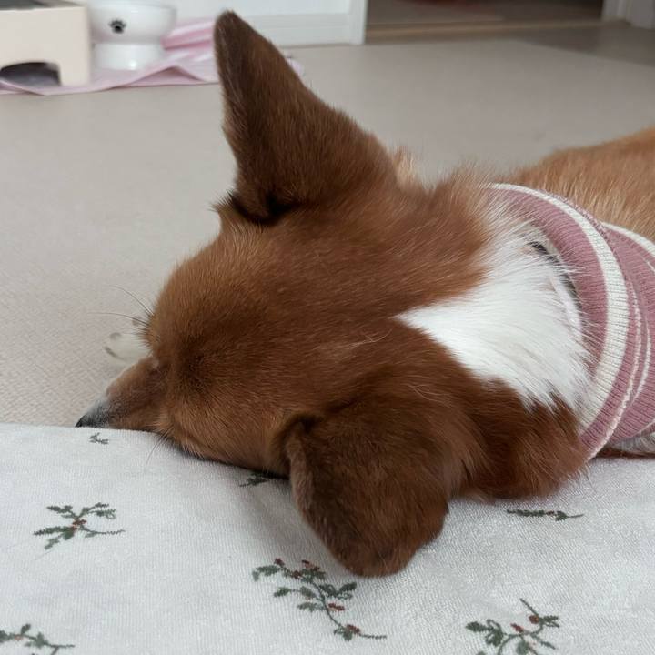 2ffd49b2 a61e 452a b871 5a3d53435ee7 1756421110075