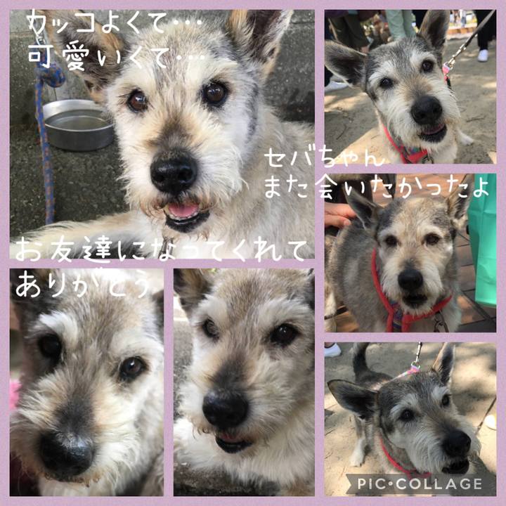 2ffd6d72 a753 4642 b7c9 6ee0e69d4734 1688393218192