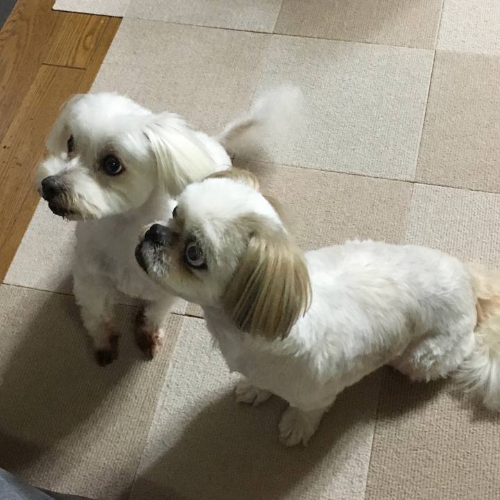 2ffd7901 60f4 49b6 be2b abaa678e0651 1628595233425