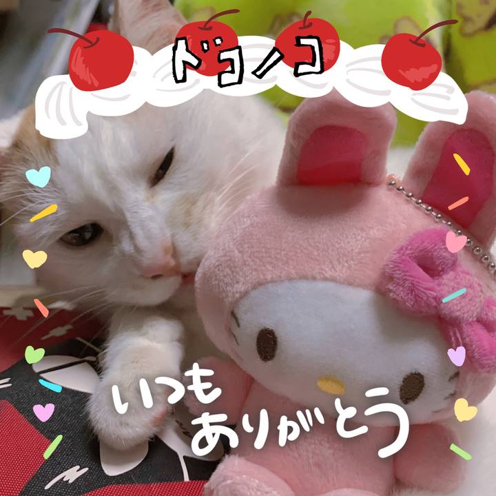 2ffd7f42 1535 4e0c 9cd5 56edb55af667 1685969811706