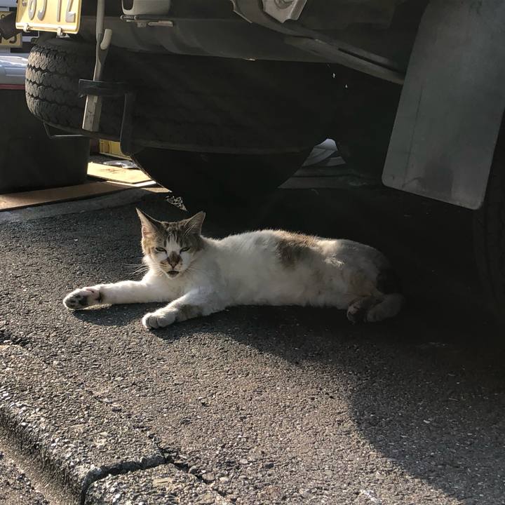 2ffda98a 23ee 4fc6 b146 d33fd125c632 1652697219963