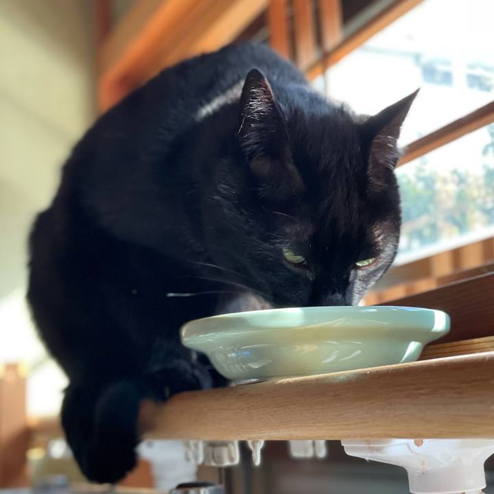 2ffdb668 6405 464a 91e6 eafcb7ddd4fa 1613784442270