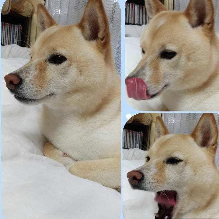 2ffdf591 a675 4617 a4c7 b69a00167e68 1593300954728