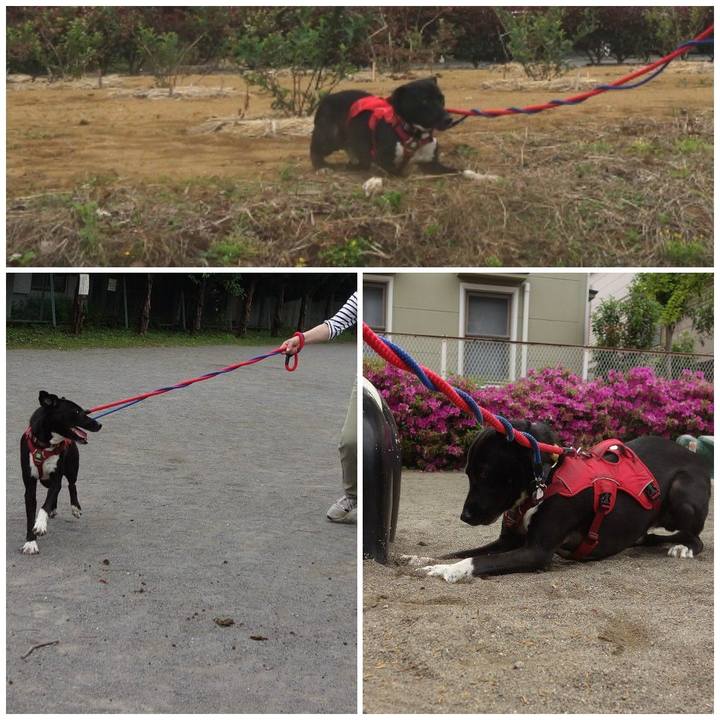 2ffdf74e 90e3 472a adb3 48847372173f 1589243677396