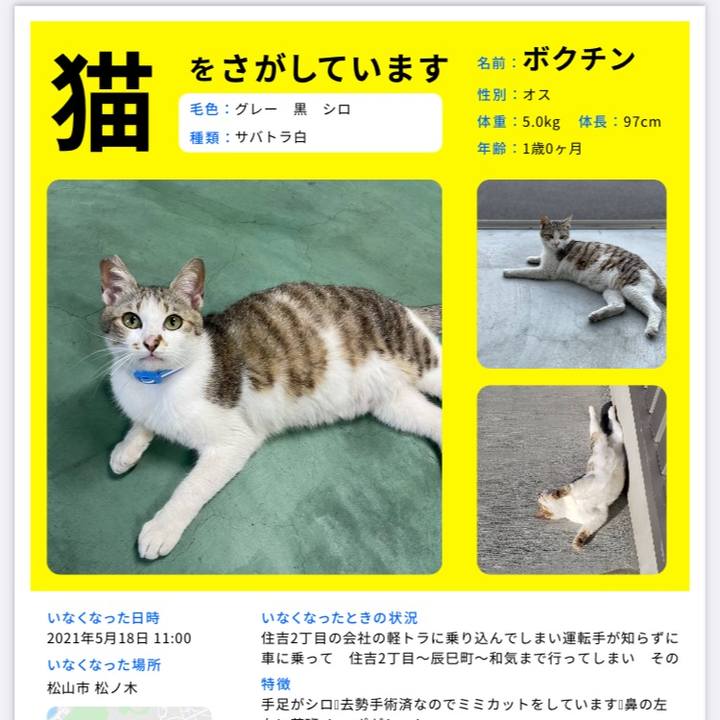 2ffe1bce b06f 4114 8701 3bb66561afae 1621764022528