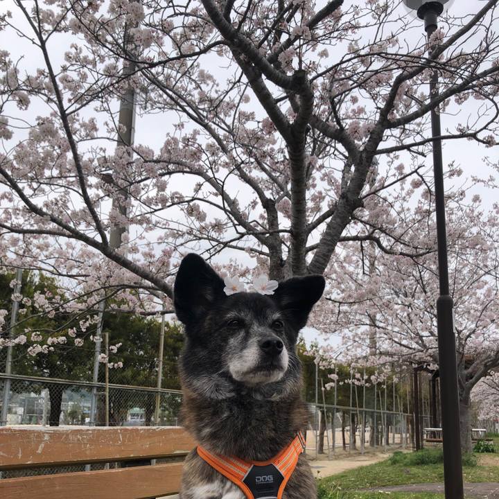 2ffe6c05 f156 4c11 9d58 8bc51b4c2342 1680612634973