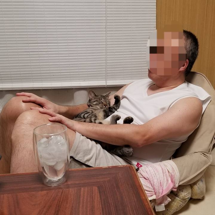 2ffe6f3b 95f4 4f60 9b40 19b110232c76 1680177490578