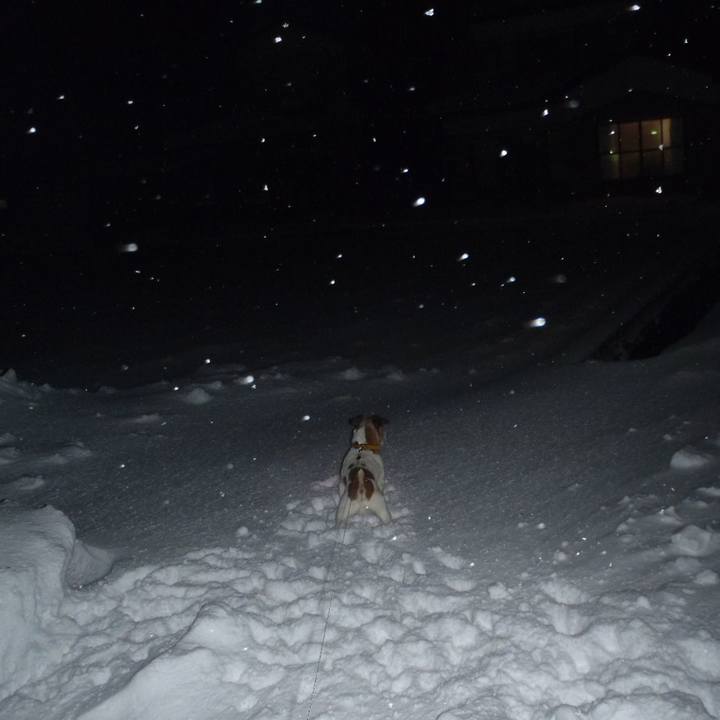 2ffe878a 9b74 43fb 9843 d33d28a2945e 1516969143282