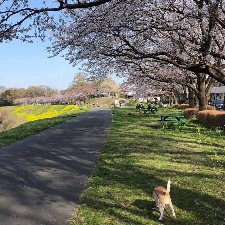 2ffecb54 a854 4383 af8f 220384237ef2 1616708984733