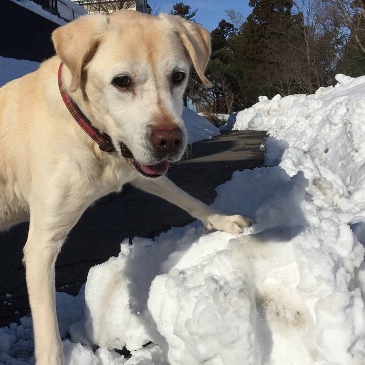 2fff038c ea14 4609 834e bef3427c91ea 1518589459806