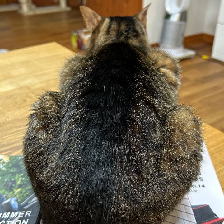 2fff6712 e3ef 4df6 b1be 2ebf13977af2 1685617694434