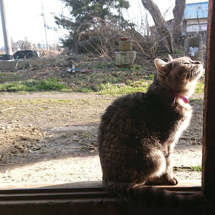 2fff71a4 6e0b 4f91 be2b 2de36db30a70 1583563732409