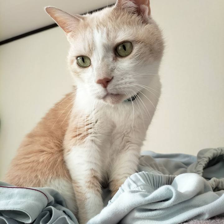 2fffedc8 9910 48fe 8f8f 6d013e8205b6 1674861930367