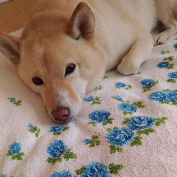 30001c35 d543 42d4 b4b4 c1dabaf2155e 1605657377752