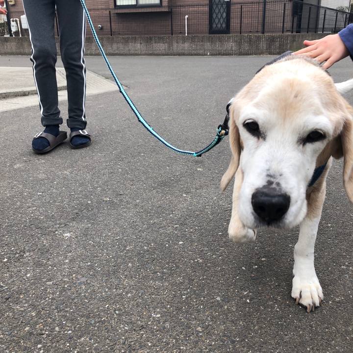 30002f8c efe6 4df9 8bf4 53b68d0a56a5 1616895148710