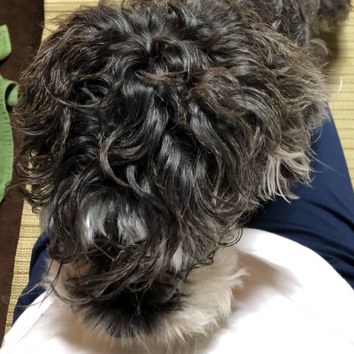 3000351c 32d3 462a a800 12933e1be12f 1537451719161