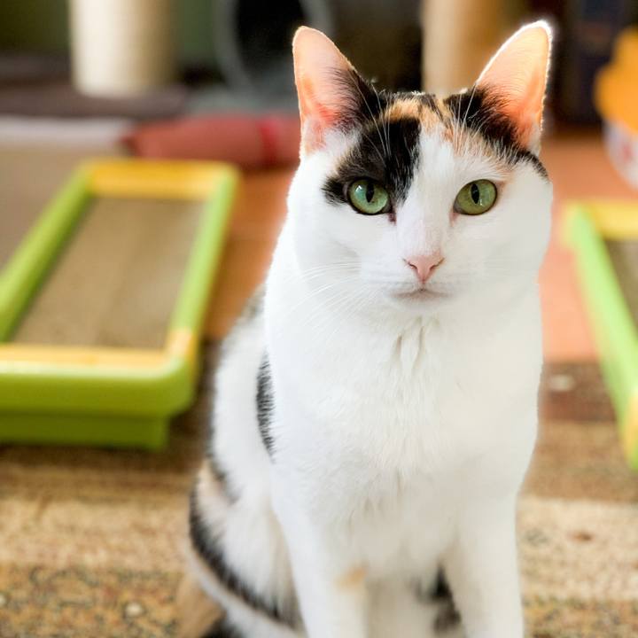 30005bcb d269 4a1a 906e 91ff03d4130d 1588468506837