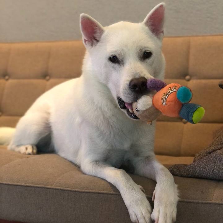 30006da1 9731 47e6 a27d aef9e265d2a0 1598539566676