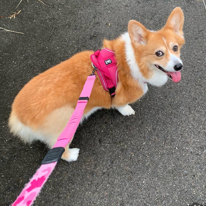 30008f2a 637a 44c3 931a 1e4b710ec68c 1724280346939