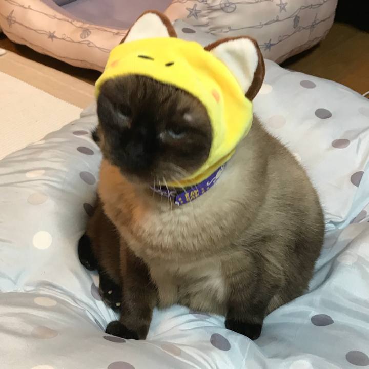 30009a70 37fd 49bd 8955 eab03f9ef0b0 1537279385405