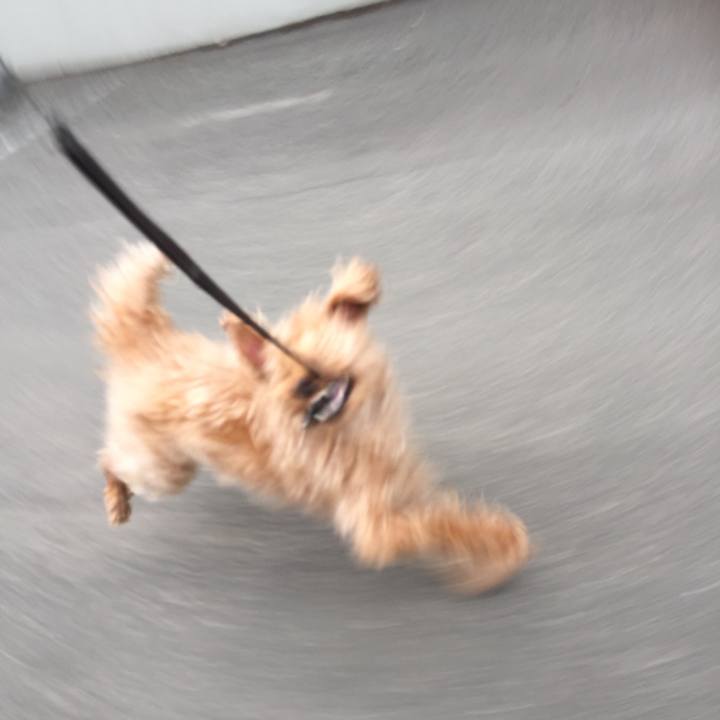 3000d90f 5f75 40f9 baa1 4356a505501e 1523759997579