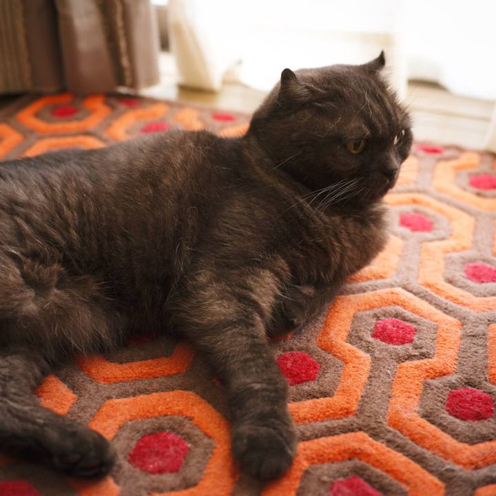 3000dd22 bf05 4951 a5b4 8592dc01e994 1627740339134