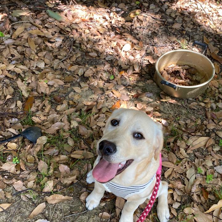 300118be e8b9 4f83 9811 7776069576e8 1619334110723