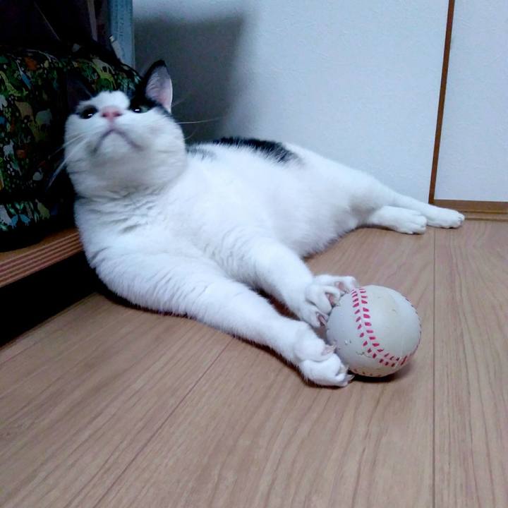 30013b5a ad8a 40b1 9bb4 100d92975a32 1543492583898