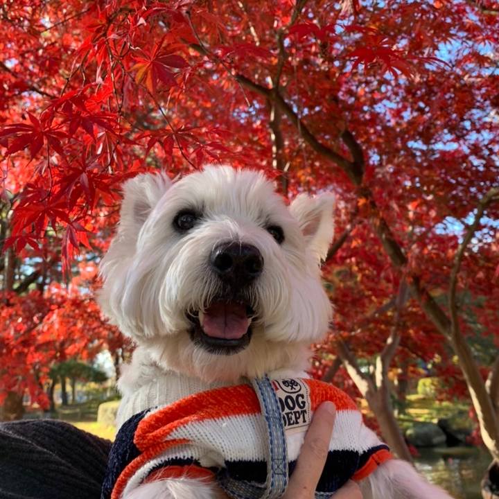 30016a29 305d 4a43 b619 bb4aceb5c8f9 1636210735774