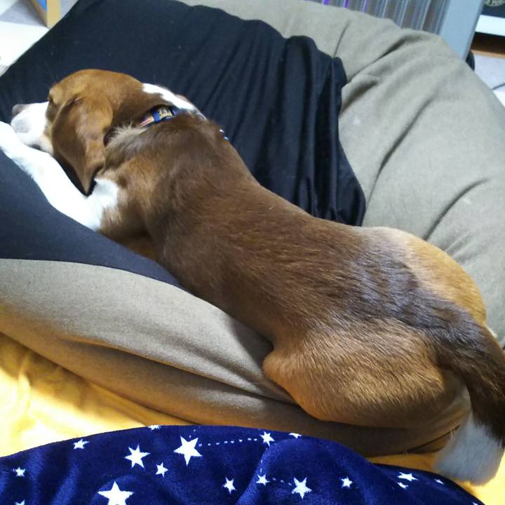 30016dec 82fb 4826 8827 5ccca802b65e 1585906302766