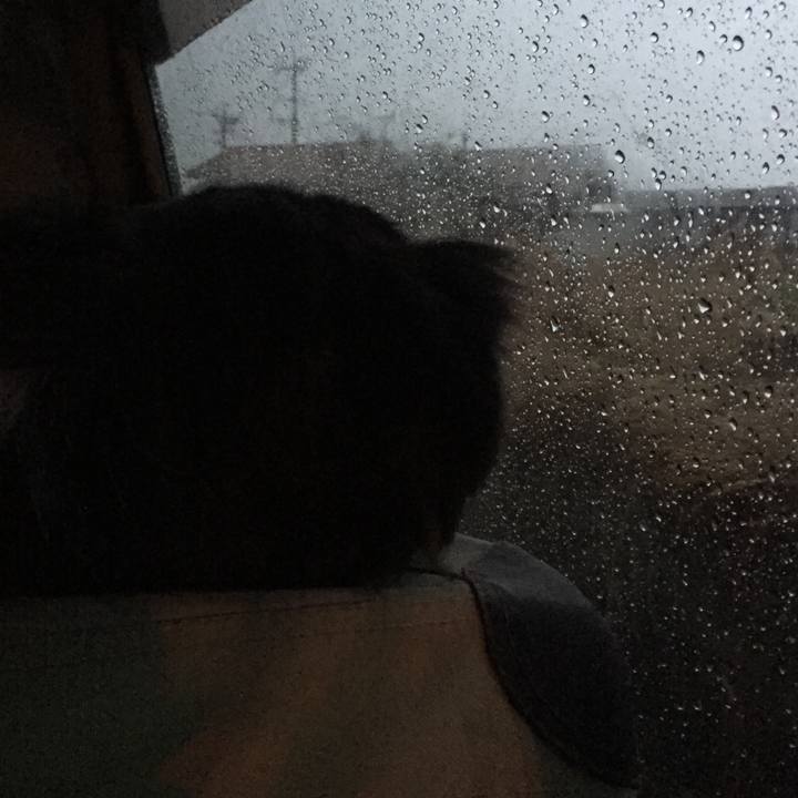 3001b091 2284 449c a33b 7c1a97c83dba 1549404757345