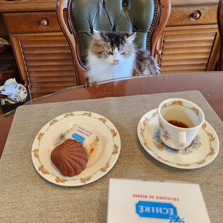 3001b751 5cbc 455f a997 d82aeb275685 1723695261520