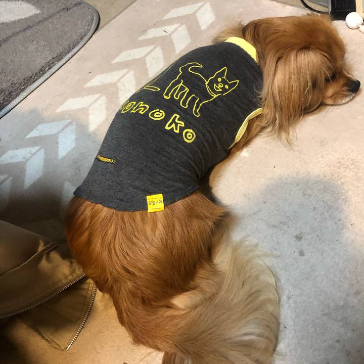 3001b918 1e44 468a 971c e7a2d9f4e87a 1543874505594