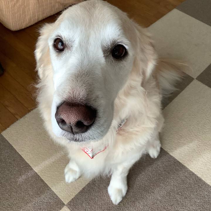 3001c649 e658 4a28 91a0 2458b1c1ceac 1672469219043