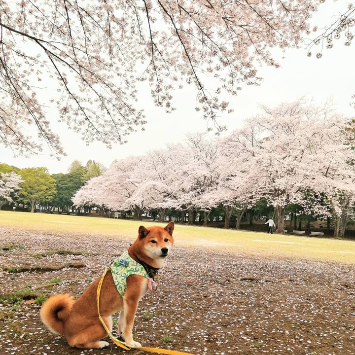 3001d3dc 25cd 44d5 b997 b7ab65d3981d 1617085908372